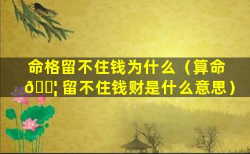 命格留不住钱为什么（算命 🐦 留不住钱财是什么意思）